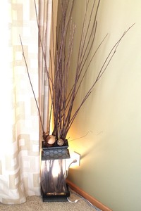 Vase & Twigs