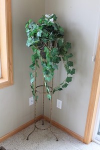 Ivy Plant & Stand