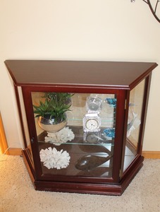 Curio Cabinet