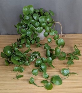 Small Artificial Hanging Plant - Brand New