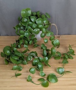 Small Artificial Hanging Plant - Brand New