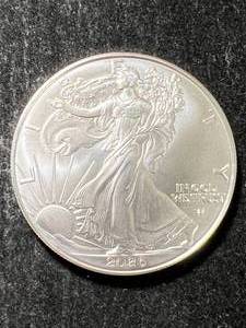 2026 AMERICAN SILVER EAGLE 1 TROY OZ .999 FINE SILVER