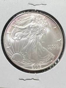 2005 AMERICAN SILVER EAGLE 1 TROY OZ .999 FINE SILVER