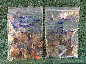 20 Labridorite Cabachous Semiprecious Stones