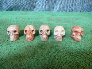 5 Jasper Skulls
