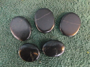 5 Shungite Palm Stones