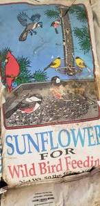 2 50 Lb bags of birdseed