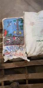 2 50 Lb bags of birdseed