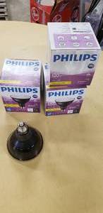 Phillips light bulbs 120V