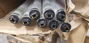 Sylvania 8 Light bulbs