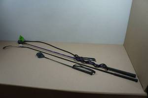 Riding Crop and Training Sticks