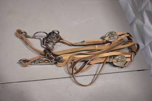 Bridle and Rein set with Bit