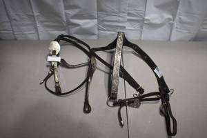Bridle and Breast Collar