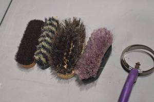 Assorted Brushes and curry combs