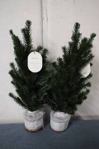 2 THRESHOLD 22in decorative faux tr...