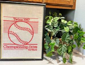 Twins 1987 Championship Drive Homer Hanky Framed Print & Plant
