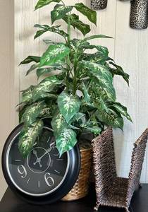 Artificial Dieffenbachia Plant in Woven Basket, Wall Clock and Magazine Rack