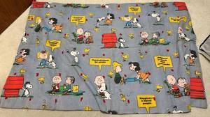 Peanuts Snoopy Blanket & Throw - Happiness Is A Stack Of Old Comic Books Pattern