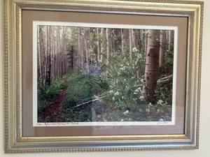 Aspen - Bighorn Creek Trail Above Vail, Colorado - Framed Print