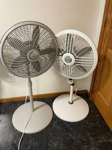Lasko Pedestal Fans - 2-Pack