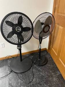 Lasko Pedestal Fan (5-Blade) - Holmes Stand Fan (4-Blade)
