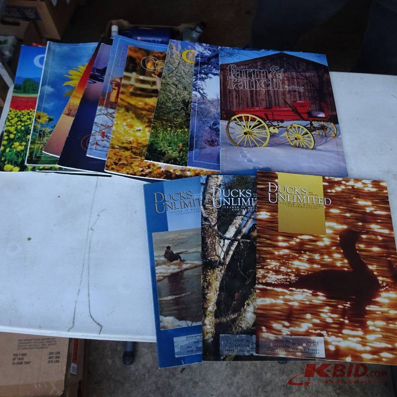 Lassie Books