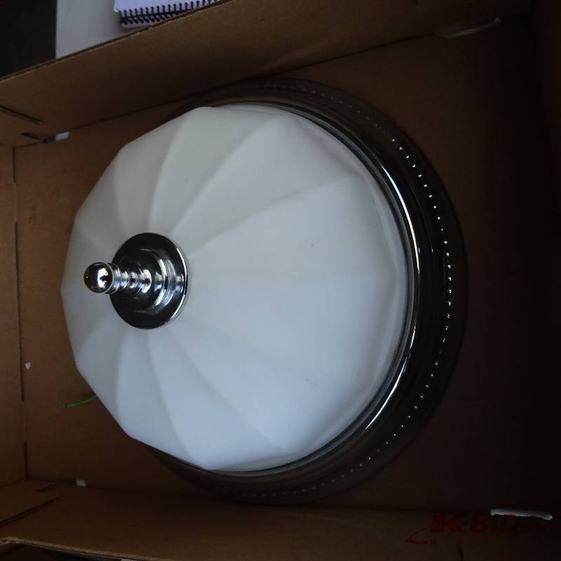 Ceiling Light