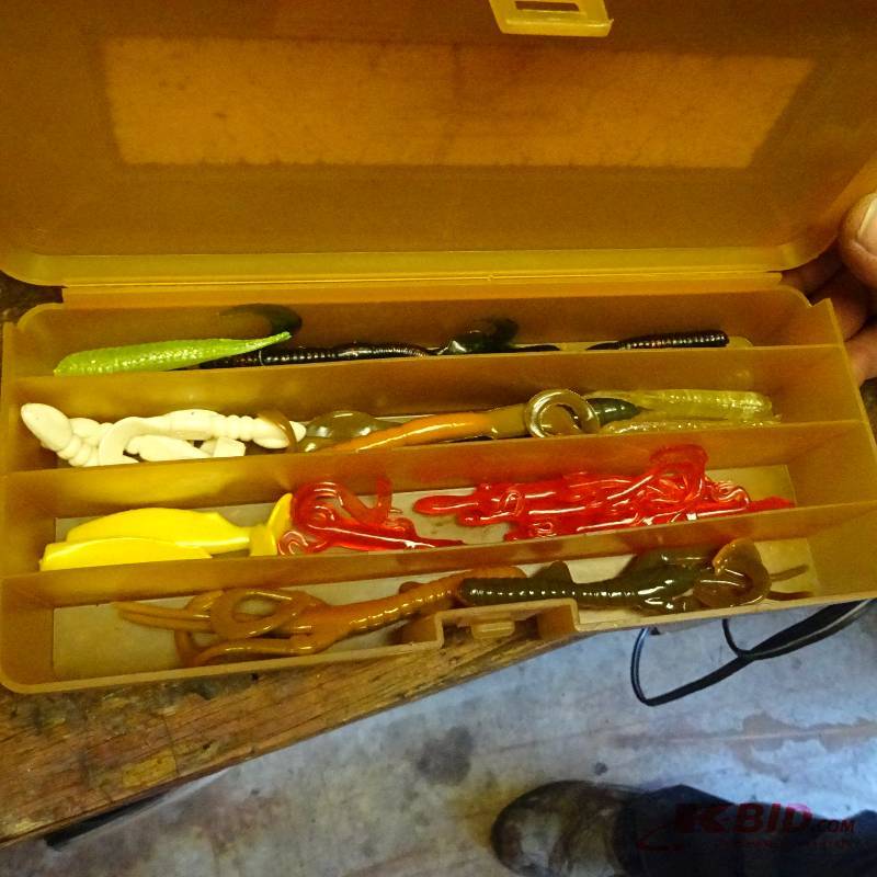 Worm Box