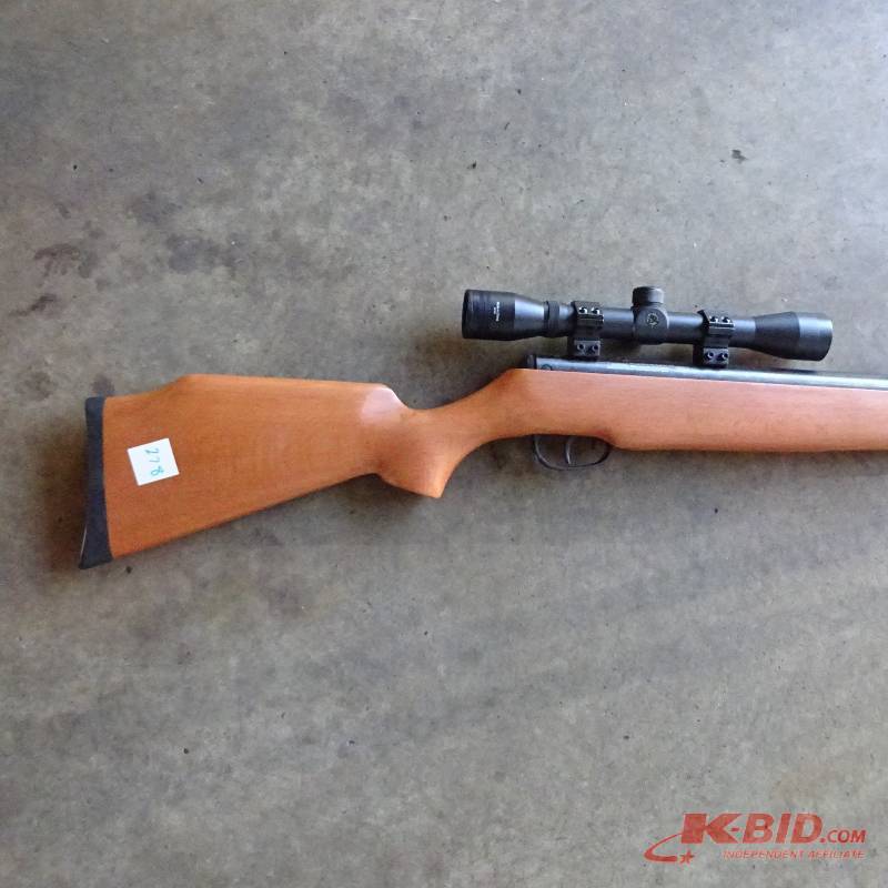 Pellet gun