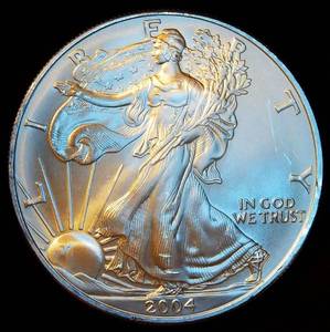 Slightly Better Date 2004 Silver Eagle