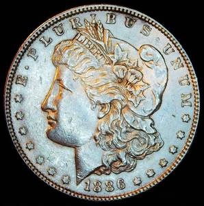 AUAU 1886 Morgan Silver Dollar, Unaltered Surfaces wNear Full Luster