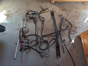 Horse Tack Lot - Bridles, Reins, Halters, Bits, Stirrup Leathers