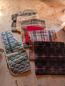 Saddle Pads - Assorted Colors & Patterns (Lot of 7)