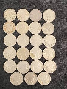 Buffalo Nickels Collection