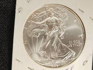 American Eagle 1 oz Silver Coin 2004