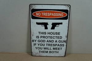 Novelty Metal Sign - No Trespassing