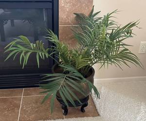 LR - Faux Palm Plant in Brass Planter
