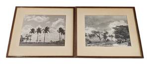 LL - Pair of Framed Vintage Palm Tree Landscape Prints