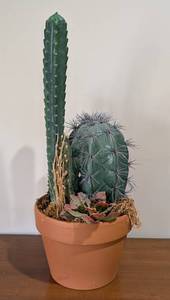 LL - Faux Cactus Plant- Indoor Decorative Arrangement