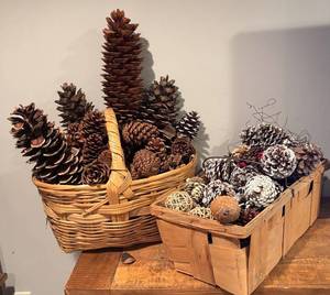 LL - 2 Baskets Full of Pinecones