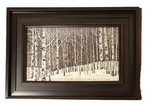 LL - Birch Tree Print - Framed Art