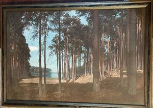 LL - Vintage Forest Landscape Print - Frame