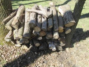 Pile of cut firewood...