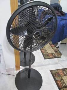 Pedestal Fan