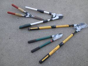 Lot of garden lopping shears