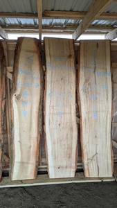 Basswood Live Edge Slab