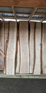 Live Edge Basswood Slab - 97 x 17
