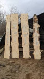 Pine Live Edge Slab - 116 x 20