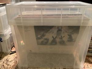 Bin of Vinyl Albums