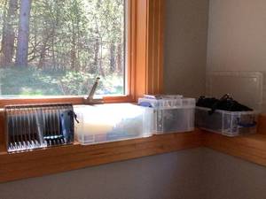 DVD-R Discs & Storage